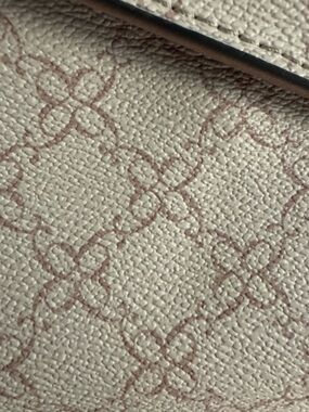 Y2K Neutral Monogrammed Canvas Crossbody or Tote Detail